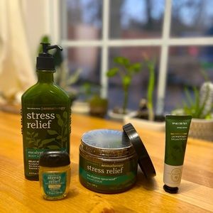 Bath and Body Works Aromatherapy Eucalyptus Spearmint Bundle